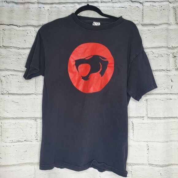 Vintage Thunder Cats 1999 Warner Bros Delta Pro Weight Adult Medium T-Shirt - Picture 1 of 7